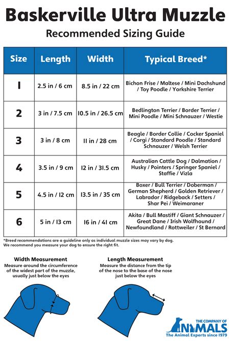 Dog Muzzle Size Chart