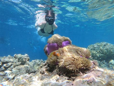 Best Snorkeling Spots in Fiji - Uncut Buzz