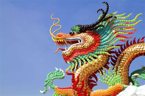 Chinese New Year Dragon Types - Infoupdate.org