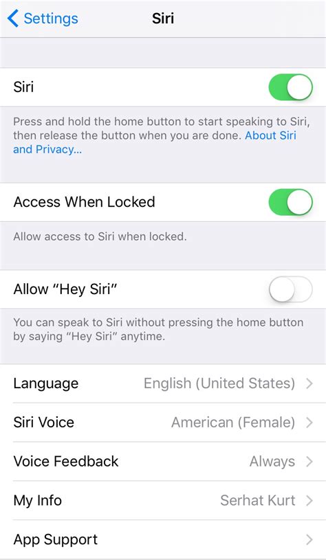 How To Use Siri • macReports