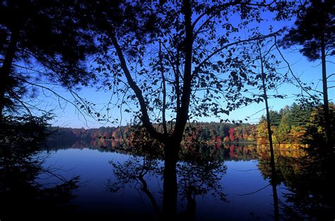 Walden Pond State Reservation, Concord Photograph by Peter Dennen - Pixels