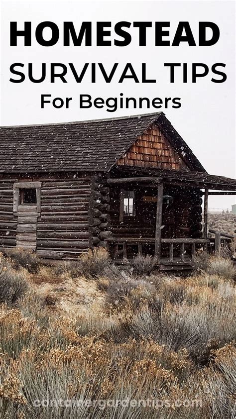 homestead survival tips for beginners | Homestead survival, Survival tips, Survival