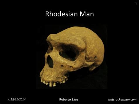 Homo rhodesiensis