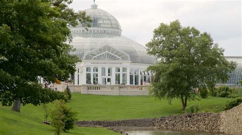 Como Park Zoo and Conservatory Tours - Book Now | Expedia