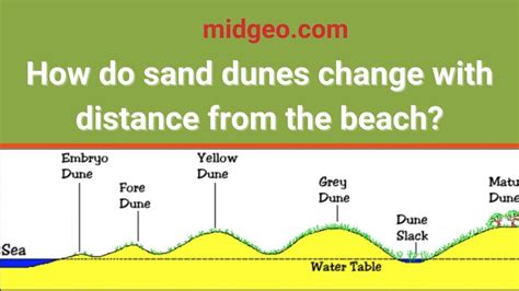 How Are Sand Dunes Formed