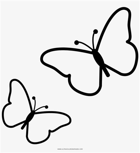 Borboletas Coloring Page - Desenho Borboleta Para Colorir Png , transparent png download ...