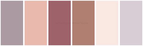 Soft Aesthetic Color Palettes - Aesthetic Color Palette