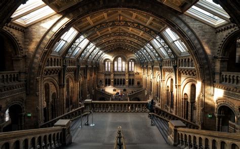 the vaulted hall in the natural history museum in london illuminated by ...