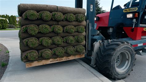 Sod Delivery For Busy Homeowners | Cost and Benefits