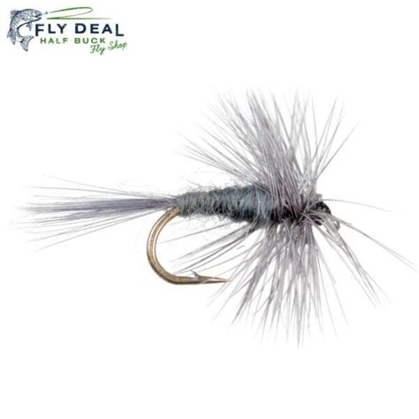 Gray Hackle - Fly Deal Flies