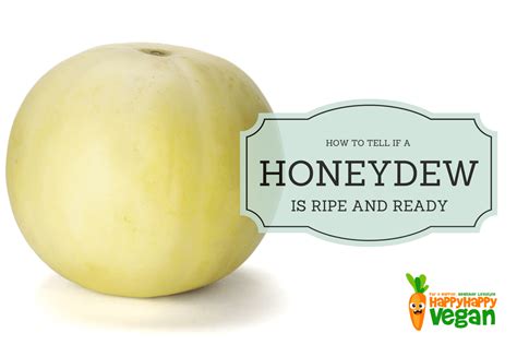 How To Tell If A Honeydew Melon Is Ripe (And What To Do If It's Not ...