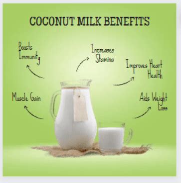 Coconut Milk Benefits And How To Add To Your Everyday Diet