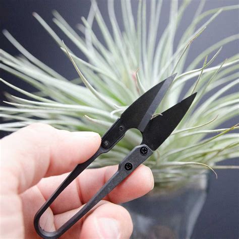 5 Best Garden Scissors of 2022 | Family Handyman