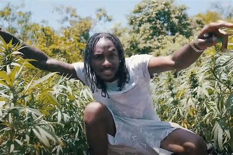 420 Day 2023: Westmoreland's Orange Hill Weed's Impact On Dancehall ...