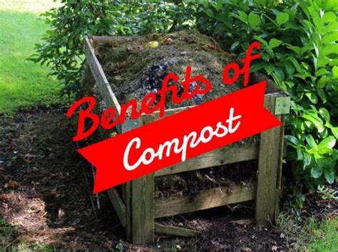 Benefits of compost