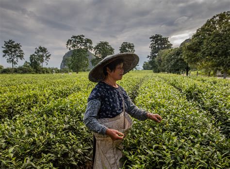 10 Facts About Rural Poverty in China - The Borgen Project