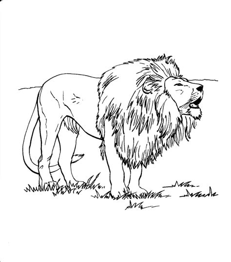 Realistic Lion Coloring Pages at GetColorings.com | Free printable colorings pages to print and ...