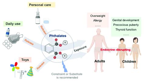 Phthalates application and the impacts on human health. Author ...