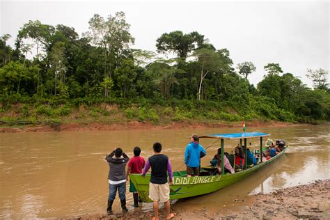 Alternative Amazon: Madidi National Park, Bolivia