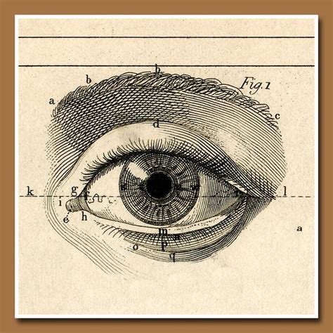 Be in the know about Myopia | Eye illustration, Vintage illustration ...