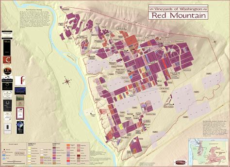 creative maps of vineyards | Wine map, Vineyard, World