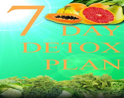 7 day detox meal plan to cleanse and heal your body | Etsy