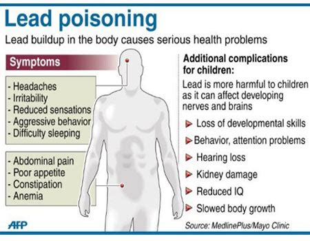 Infographic on Lead Poisoning