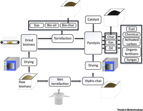 Pyrolysis of Torrefied Biomass: Trends in Biotechnology