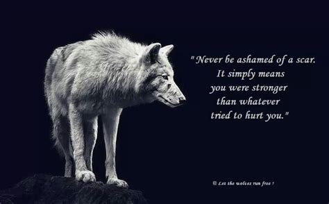 Pin by Charli on Wolves | Lone wolf quotes, Wolf quotes, Warrior quotes