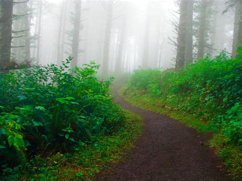 5 Reasons To Love Oregon State Parks