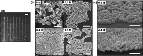 Facile fabrication of self-assembled nanostructures of vertically aligned gold nanorods by using ...