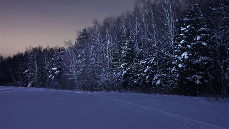 Winter Night 1920x1080 Wallpapers - Wallpaper Cave