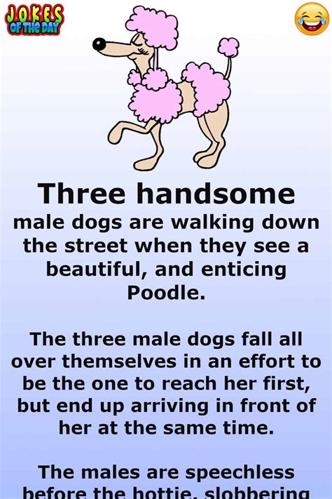 Funny: Three dogs notice a rather hot poodle | Jokes Of The Day