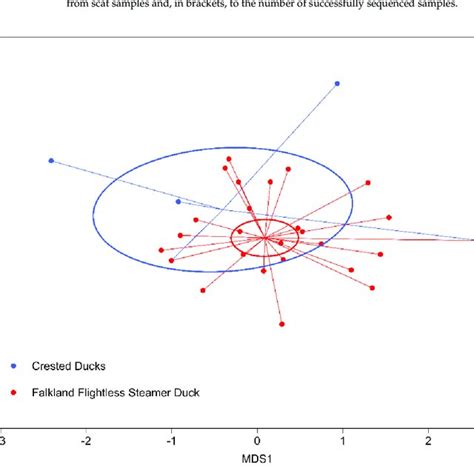 Differences in diet composition between Falkland Flightless Steamer ...