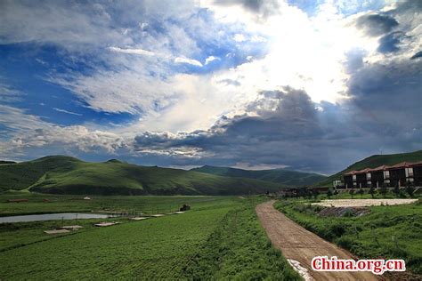 Bashang Grassland in summer - China.org.cn