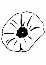Coloring Pages Poppy Flower  Home sketch template