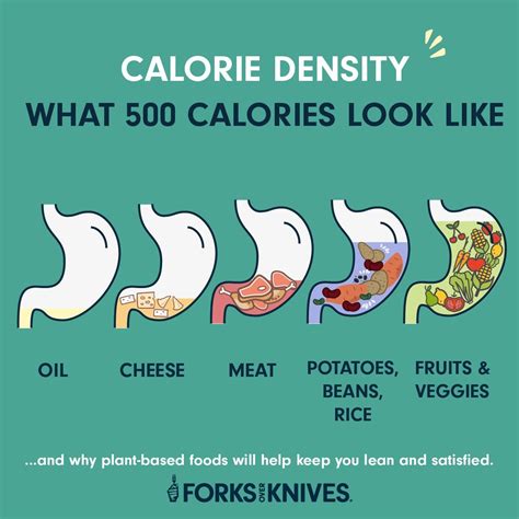 Calorie Density Approach to Nutrition and Weight Management | Forks Over Knives