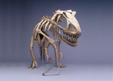 Allosaurus Skeleton, Opus 326