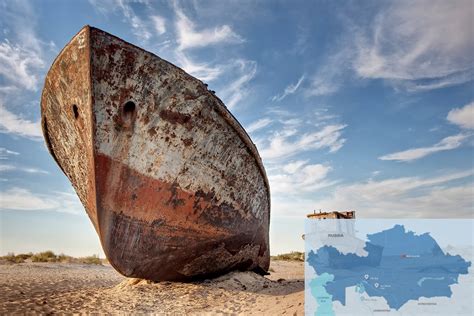 Aral Sea Restoration Efforts to Include Planting Million-Hectare Saxaul Forest - The Astana Times