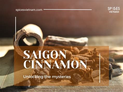 A Spice Worth Savoring: Unlocking the Mysteries of Saigon Cinnamon ...