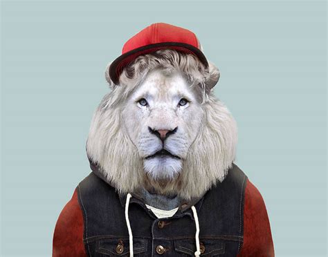 This Artist Spent 3 Years ‘Dressing’ Zoo Animals Like Humans And The Clothes Fit Unbelievably ...