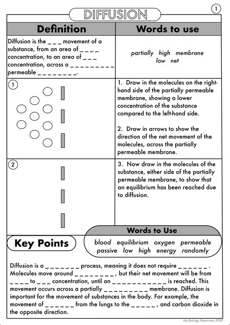 GCSE Biology: Diffusion, Osmosis and Active Transport Worksheet Pack ...