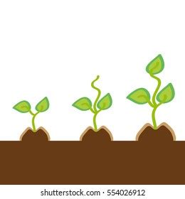 Three Plants Growing Ground Vector Illustration Stock Vector (Royalty Free) 247509814