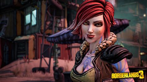 Borderlands 2 all dlc any- - animationholden