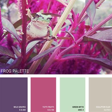 paleta de color 8 Color Combinations Paint, Room Color Schemes, Colour Pallette, Paint Palette ...