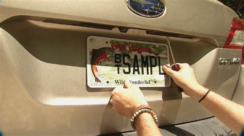 WV Wildlife: New Wildlife License Plates | WCHS