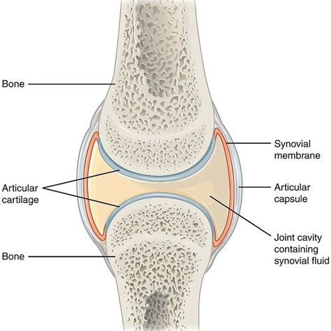 Why Is My Neck Cracking? — Renew Chiropractic