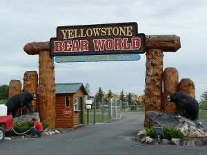 Welcome! | Yellowstone Bear World