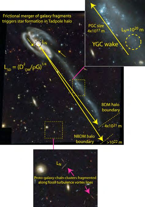 Tadpole galaxy merger brings baryonic dark matter halo out of the dark.... | Download Scientific ...