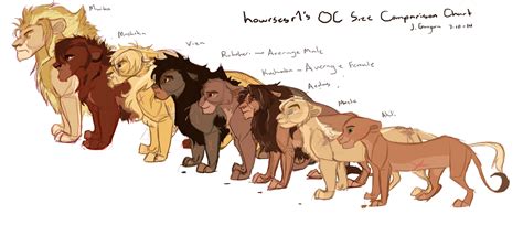 Lion OC Size Chart by Howikin on DeviantArt